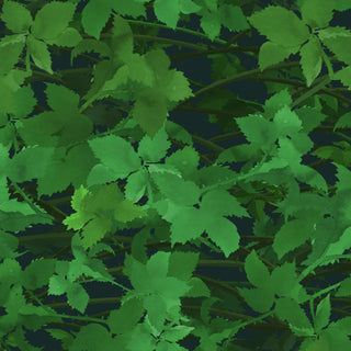 Brambles