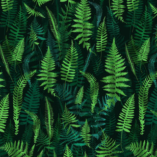 Fern Paradise