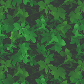green bramble-pattern on grey-green background