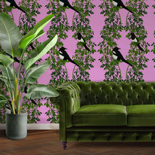 pattern of magpies and green leaves on a pink background shown as wallpaper with green sofa and plant